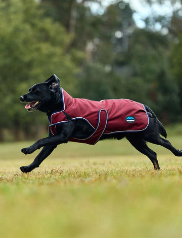 WeatherBeeta ComFiTec Premier Deluxe Waterproof Dog Coat